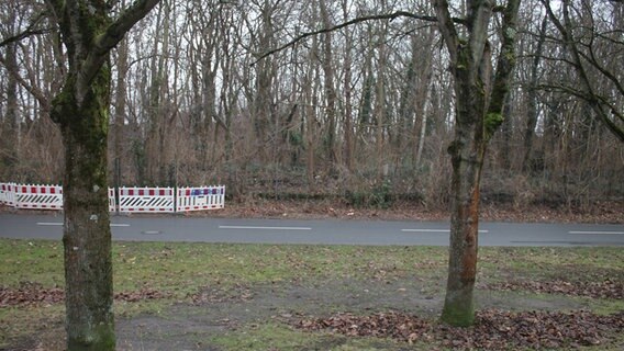 Blick auf eine Straße, hinter der früher die Berliner Mauer verlief. © NDR Foto: Daniel Sprenger