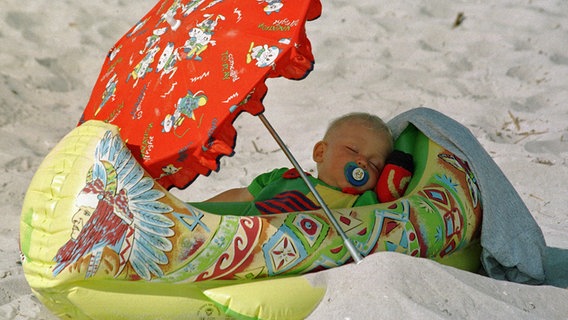 Der acht Monate alte Ole läßt es sich in seinem "Wüstenschiff" gutgehen am Strand des Regenbogen-Camps in Prerow auf der Ostsee-Halbinsel Darß in Mecklenburg-Vorpommern (21.08.1997). © picture alliance / ZB Foto: Bernd Wüstneck