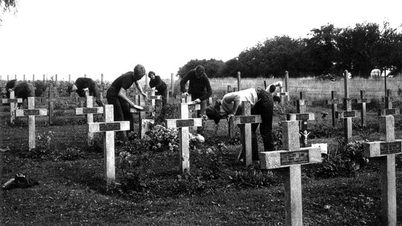 Ostdeutsche Jugend beim Herrichten eines französischen Soldatenfriedhofs mit Opfern des Ersten Weltkrieges in der Nähe von Arras am 20.7.1967. Insgesamt 120 Jugendliche aus ostdeutschen Familien reisten im Dienste der deutschen Kriegsgräberfürsorge an. © picture-alliance / dpa 