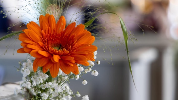 Eine orange Blume schmückt einen Kirchengang. © picture alliance / Zoonar | Daniel Kühne Foto: Daniel Kühne