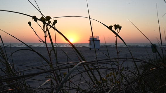 Sonnenaufgang in Prerow am Strand © NDR Foto: Anne Schönemann aus Stralsund
