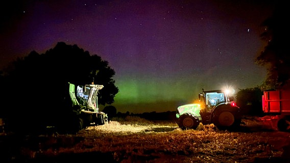 Polarlichter und Sternenhimmel © NDR Foto: Theresa Schulz aus Qualitz