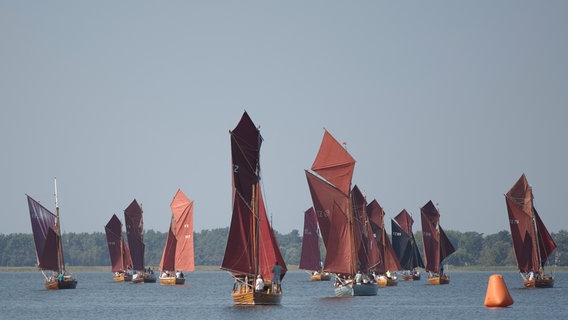 Die Bodstedter Zeesbootregatta © NDR Foto: Axel Plate aus Stralsund