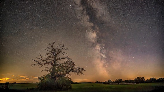 Die Milchstraße am Himmel über einem Feld. © NDR Foto: Franziska Kolm aus Brahlstorf