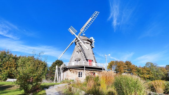 Die Mahnekesche Mühle aus dem Stralsunder Zoo. © NDR Foto: Hans-Jürgen Kaufhold aus Stralsund