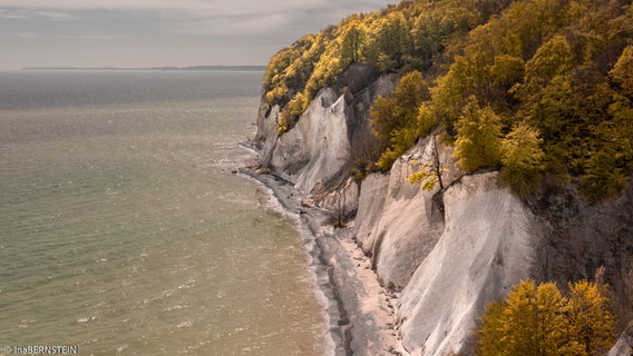 Die Kreidefelsen der Insel Rügen. © NDR Foto: Ina Bernstein aus Stralsund