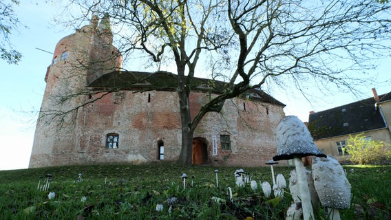 Burg Klempenow im Herbst © NDR Foto: Annegret Ziemann aus Schwerin