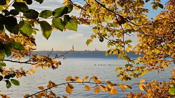 Blick über dem Schweriner See zum Schweriner Dom © NDR Foto: Sandra Pingel aus Schwerin