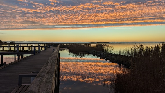 Morgenfarben im Seglerhafen von Kloster Hiddensee © NDR Foto: Jana Hobe aus Rostock