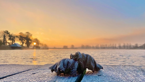 Morgenfrost in Waren. © NDR Foto: Cornelia Strubelt aus Waren