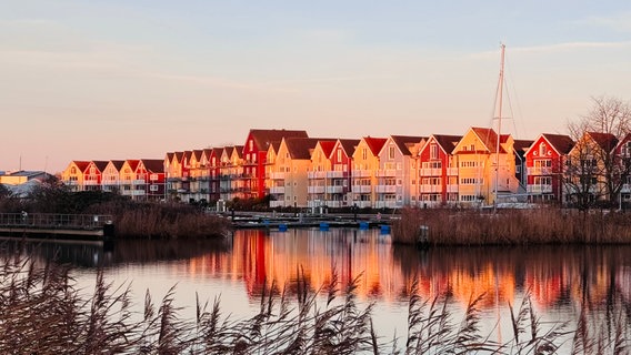 Die Wohnhäuser am Museumshafen Greifswald im Abendlicht © NDR Foto: David Kastner aus Greifswald