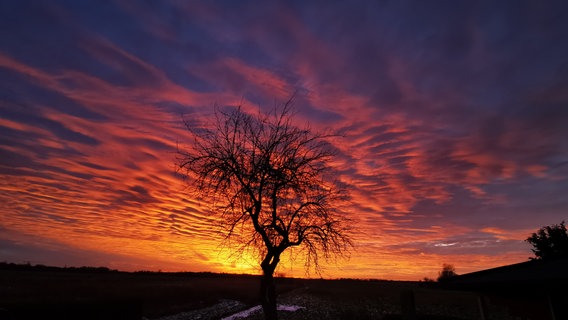 Sonnenuntergang in Greifswald © NDR Foto: Daniela Hoffmann aus Greifswald