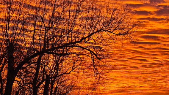 Brennender Himmel über MV © NDR Foto: Carsten Schmidt aus Mesekenhagen