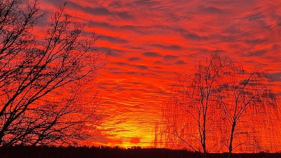 Sonnenuntergang über dem Landgrabental © NDR Foto: Liane Becker aus Boldekow