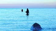 Wattangler in der Ostsee © NDR Foto: Bringfried Eisermann aus Rostock