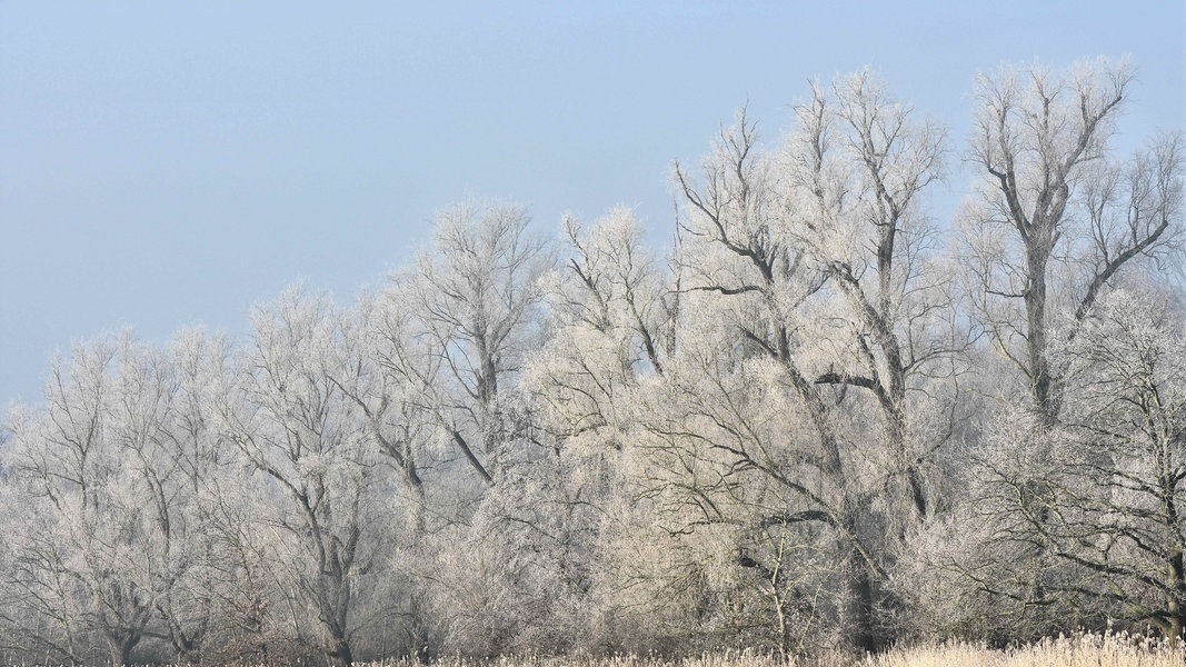 Minus 21 Grad: Diese Stadt in Vorpommern hatte deutschlandweit die zweitkälteste Nacht