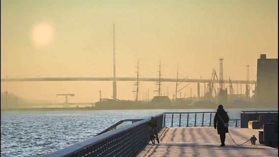 Promenade in Stralsund. © NDR Foto: Volkmar Geyer aus Stralsund