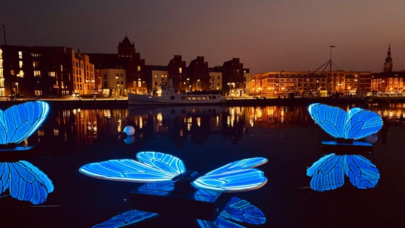 Schmetterlinge auf dem Wasser vor der Hansestadt Greifswald bei Nacht. © NDR Foto: David Kastner aus Greifswald