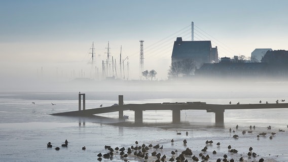 Blick über den nebligen Strelasund in Stralsund. © NDR Foto: Volkmar Greyer aus Stralsund