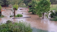 In Grimmen stehen Gärten unter Wasser. © Freiwillige Feuerwehr Grimmen 