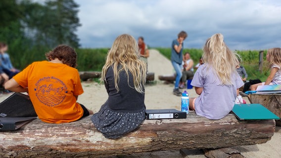 Kinder sitzen im Projektgarten in Hunden in Niedersachsen auf Baumstämmen. © NDR / Katrin Schwier 