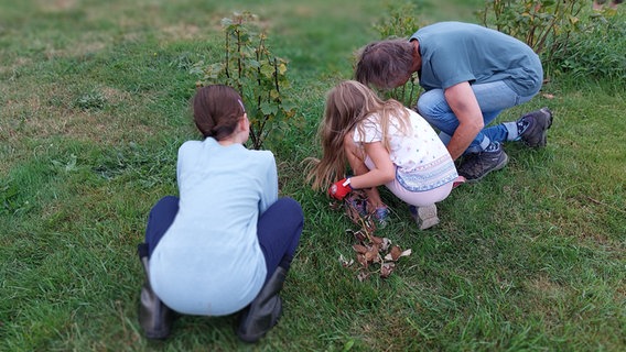 Kinder hocken im Projektgarten in Hunden in Niedersachsen im Gras. © NDR / Katrin Schwier 