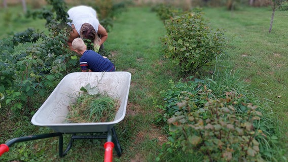 Ein Kind und eine Lehrerin arbeiten im Projektgarten in Hunden in Niedersachsen. © NDR / Katrin Schwier 