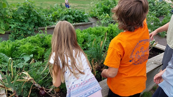 Kinder arbeiten im Projektgarten in Hunden in Niedersachsen an einem Hochbeet. © NDR / Katrin Schwier 