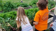 Kinder arbeiten im Projektgarten in Hunden in Niedersachsen an einem Hochbeet. © NDR / Katrin Schwier 