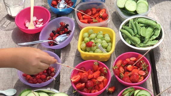 Ein Buffet aus Obst und Gemüse im Projektgarten in Hunden in Niedersachsen. © Grundschule Binnenmarsch 