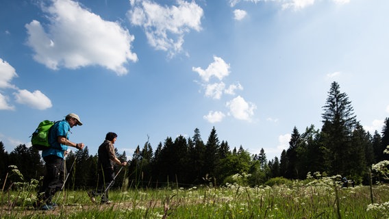 Zwei Wanderer gehen an Wiesen am Hochmoor Mecklenbruch im Solling vorbei. © dpa-Bildfunk Foto: Swen Pförtner/dpa