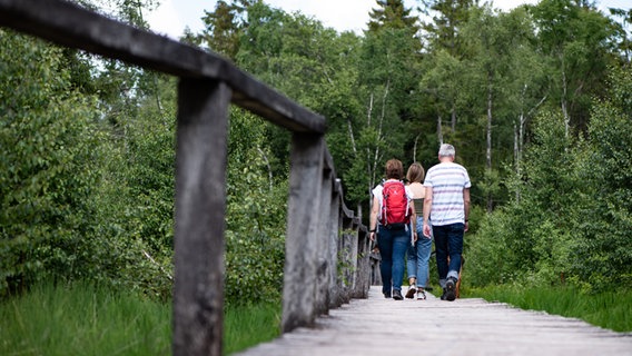 Wanderer gehen über einen Steg durch Hochmoor Mecklenbruch im Solling. © picture alliance/dpa Foto: Swen Pförtner/dpa