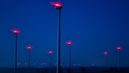 Windräder mit roten Lichtern drehen sich bei Nacht. © dpa - picture alliance Foto: Jens Büttner