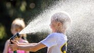 Ein Junge erfrischt sich mit Wasser aus einem Gartenschlauch. © picture alliance Foto: Jens Büttner