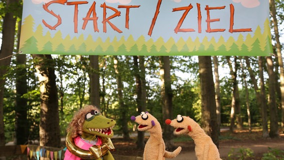 Beim großen Marathonlauf der Waldtiere verschwinden auf einmal alle Teilnehmer. Hat Krokodella etwas damit zu tun? Jan & Henry nehmen die Ermittlungen auf. © bigSmile Entertainment 