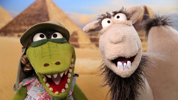 Krokodella mit Kamel in der Wüste © bigSmile/ NDR 