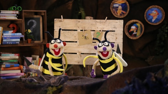 Jan & Henry sind als Wespen verkleidet © bigSmile/ NDR 