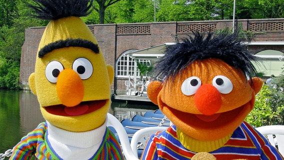 Bert und Ernie essen Kekse © NDR/Studio Hamburg 