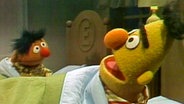 Ernie und Bert singen das Schlaflied "Magst du mich?" © NDR 