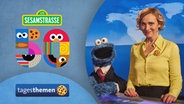 Teaserbild 50 Jahre Sesamstraße Tagesthemen special: Caren Miosga mit Krümelmonster im Studio © NDR/Sesame Workshop Foto: Hendrik Lüders