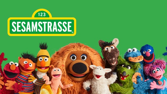 Gruppenbild der Sesamstraßen-Bewohner © NDR/Sesame Workshop 