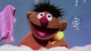 Ernie mit seinem Quietscheentchen in der Badewanne © NDR/Sesame Workshop 