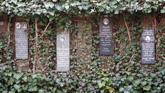 Gedenksteine hängen im Rosengarten der Gedenkstätte Bullenhuser Damm. © picture alliance / dpa Foto: Bodo Marks
