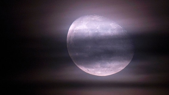 Mond vier Tage nach Vollmond bei Braunschweig © picture alliance / imageBROKER Foto: Norbert Neetz