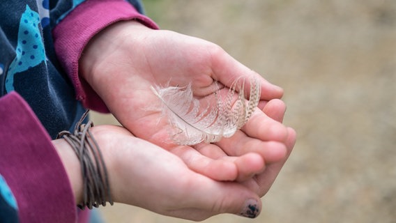 Ein Kind hält eine Feder in der Hand. © photocase Foto: Weigand