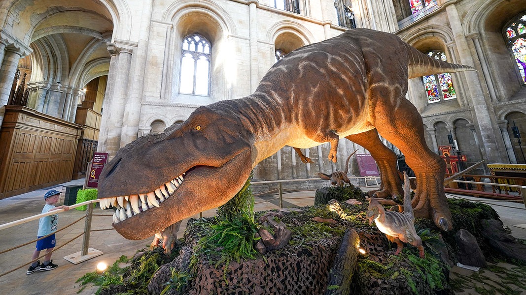 Ist Gott Ein T Rex NDR De Kirche Im NDR