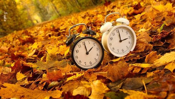 Zwei Wecker stehen im Herbstlaub. Ein Wecker zeigt drei Uhr, der andere zwei Uhr. © picture alliance / Rene Traut Fotografie Foto: Rene Traut