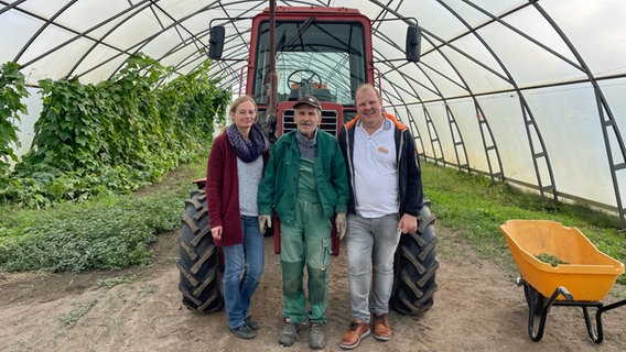 Zwei Männer und eine Frau stehen vor einem Trecker in einem Gewächshaus. © NDR Foto: Paula-Neele Deusing