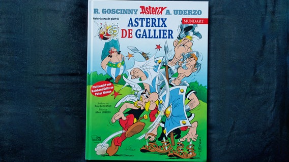 Panel aus "Asterix de Gallier" © NDR.de 