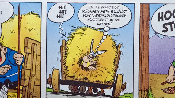 Panel aus "Asterix de Gallier" © Asterix®-Obelix®-Idefix® / © 2024 Les Éditions Albert René / Goscinny – Uderzo 